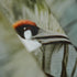 Close-up of a fabric with embroidered bird design on a blurred background
